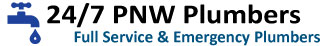 Bellevue Plumbers